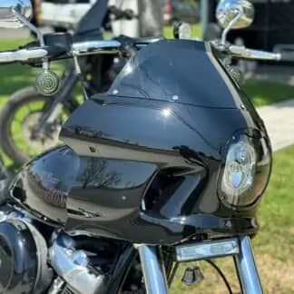 saddlemen mini rt on softail