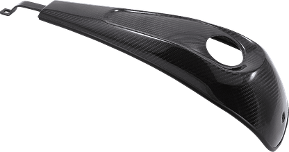 slyfox carbon fiber dash for performance bagger